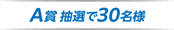 A賞 抽選で3名様