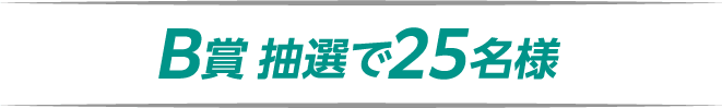 B賞 抽選で25名様