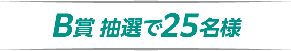 B賞 抽選で25名様