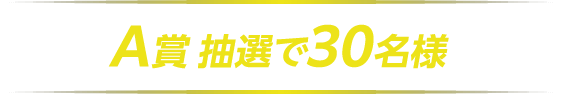 A賞 抽選で3名様