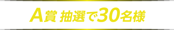 A賞 抽選で3名様