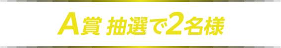 A賞 抽選で2名様