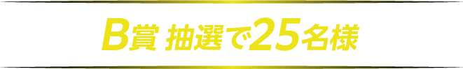 B賞 抽選で25名様