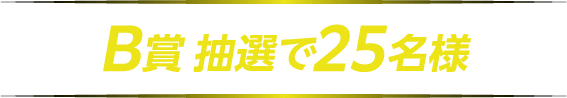 B賞 抽選で25名様